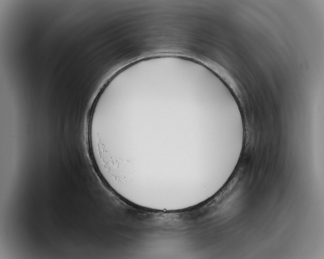 X0000096141006200802151330