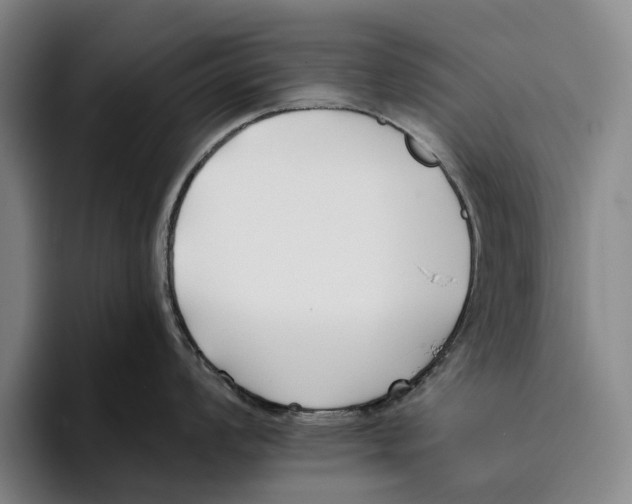 X0000096141008200802151330