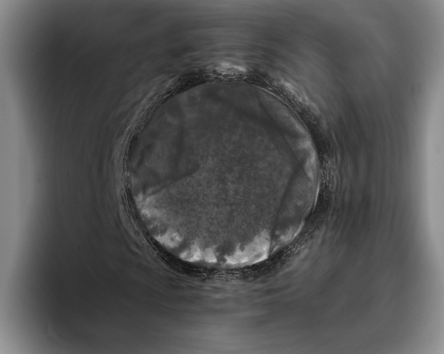 X0000096141009200802151330
