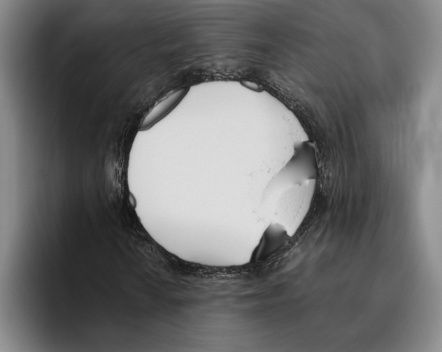 X0000096141010200802151330