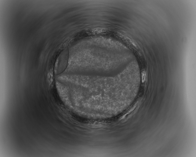 X0000096141011200802151330