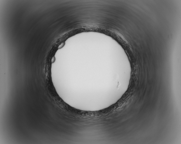 X0000096141016200802151330