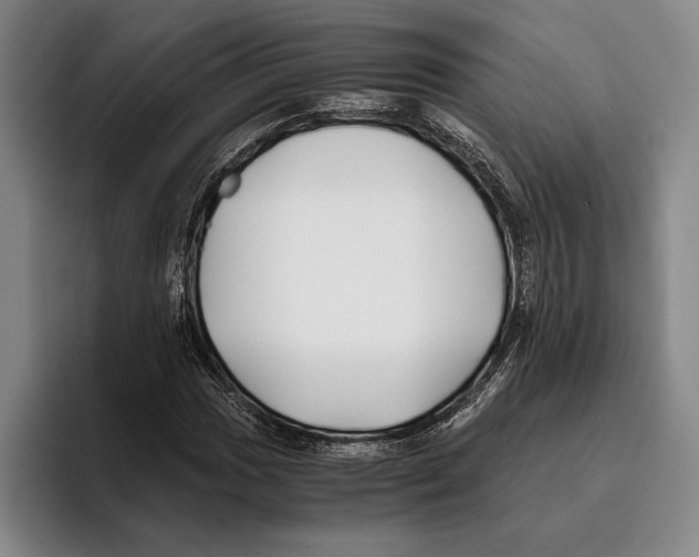 X0000096141017200802151330