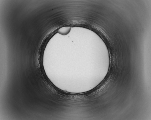 X0000096141018200802151330