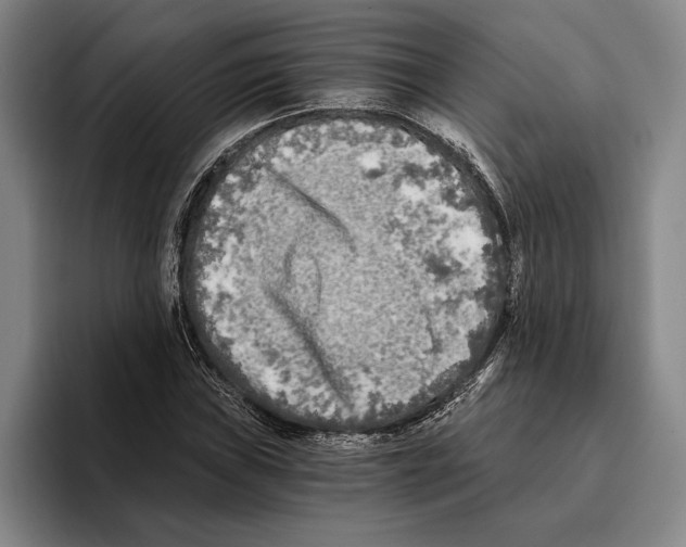 X0000096141019200802151330