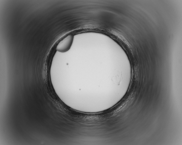 X0000096141021200802151330