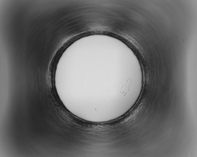 X0000096141022200802151330