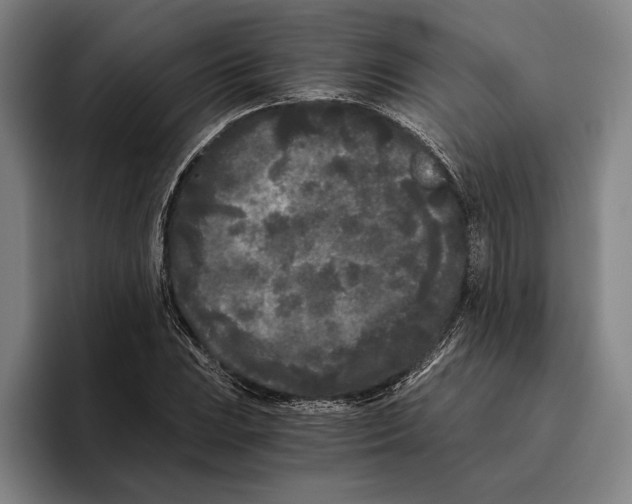 X0000096141023200802151330