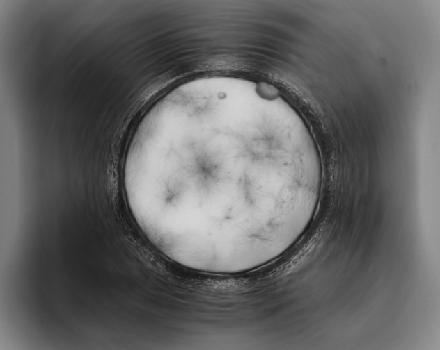 X0000096141025200802151330