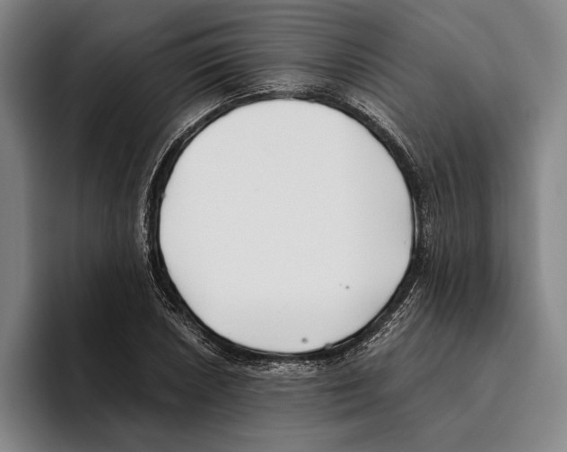 X0000096141026200802151330