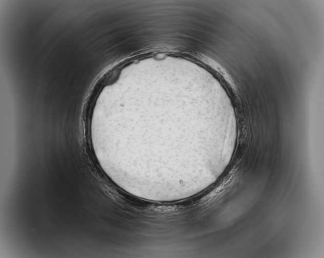 X0000096141027200802151330