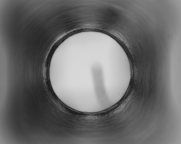 X0000096141029200802151330