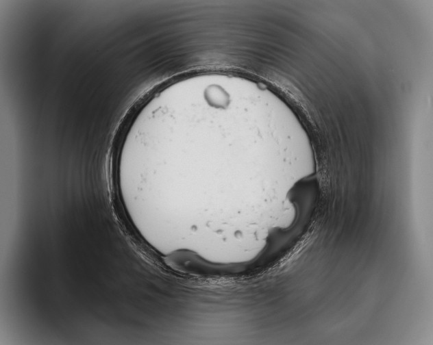 X0000096141030200802151330