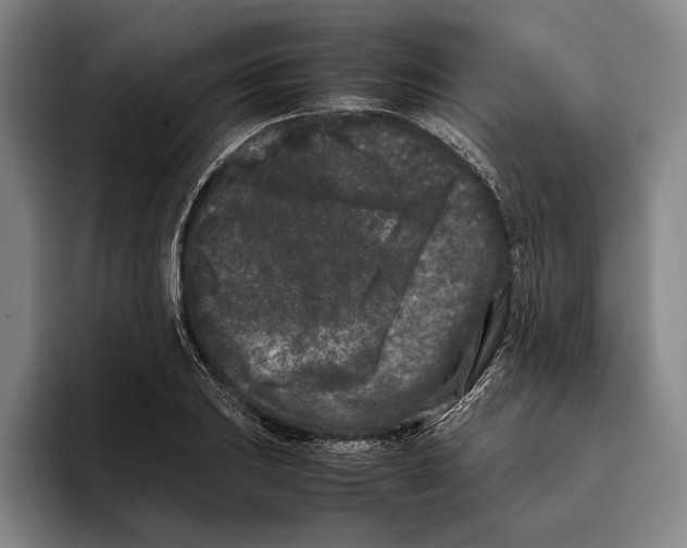 X0000096141031200802151330