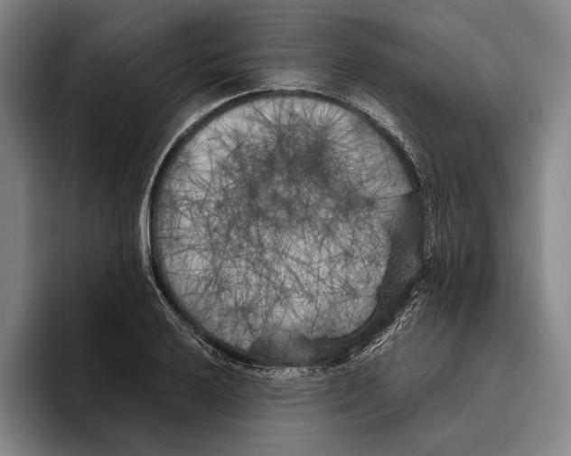 X0000096141032200802151330