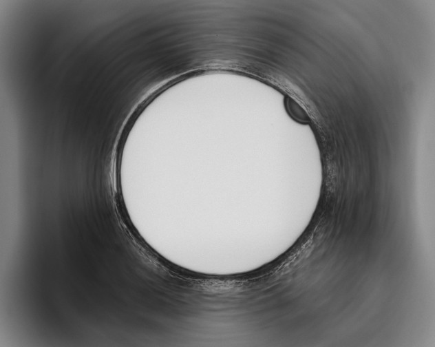 X0000096141036200802151330
