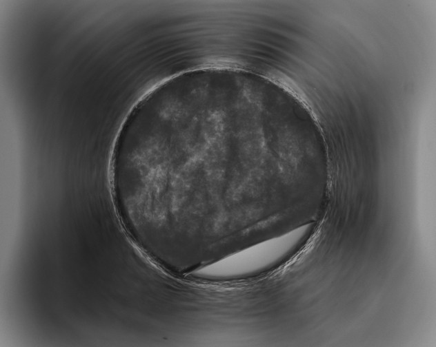X0000096141037200802151330
