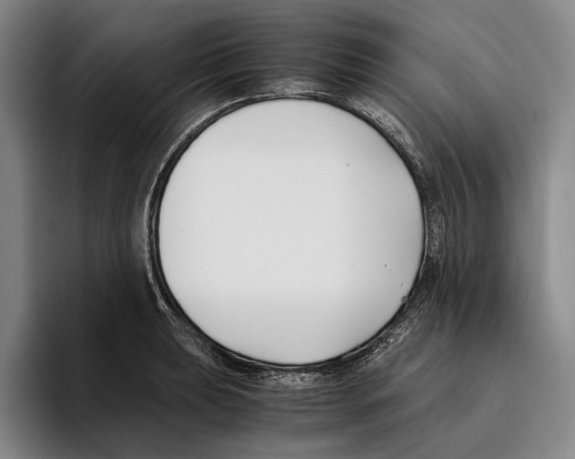 X0000096141039200802151330