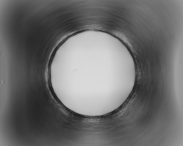 X0000096141040200802151330