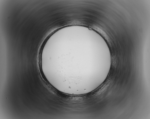 X0000096141043200802151330