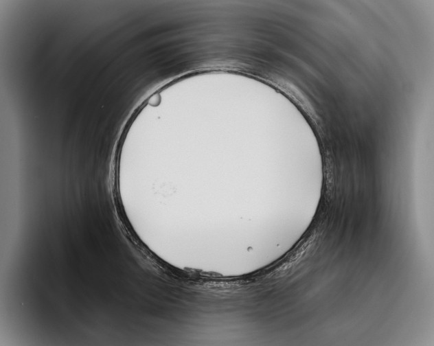 X0000096141044200802151330