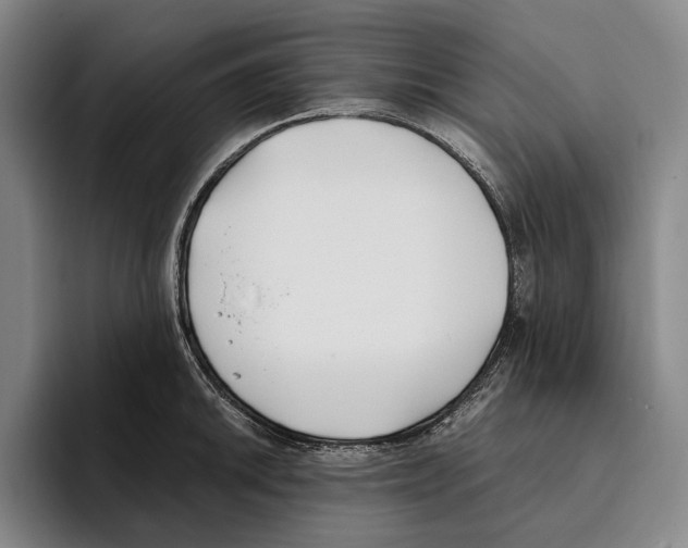 X0000096141046200802151330