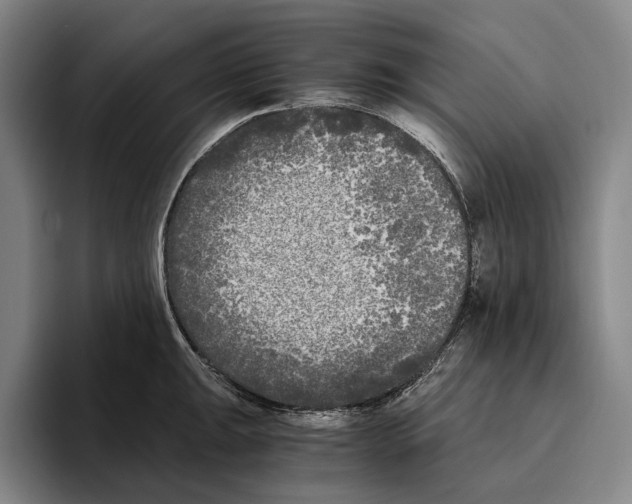 X0000096141047200802151330