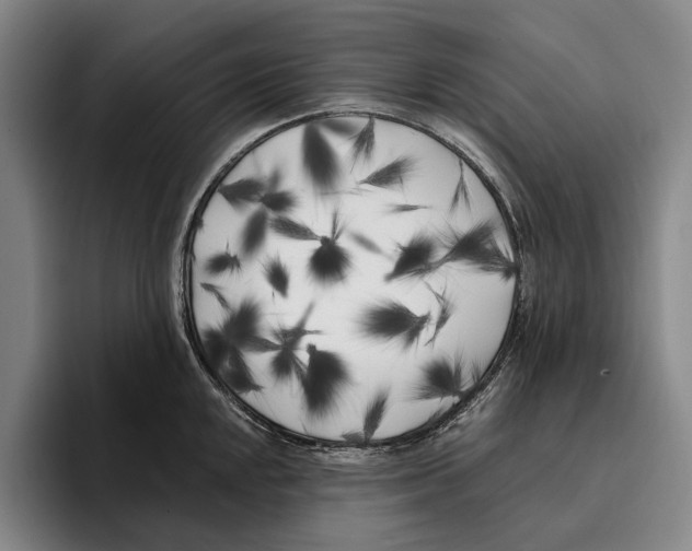 X0000096141048200802151330