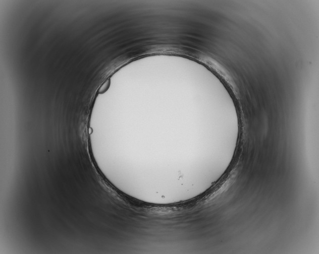X0000096141049200802151330