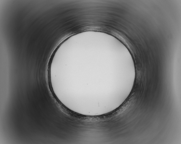 X0000096141050200802151330