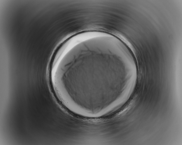 X0000096141053200802151330