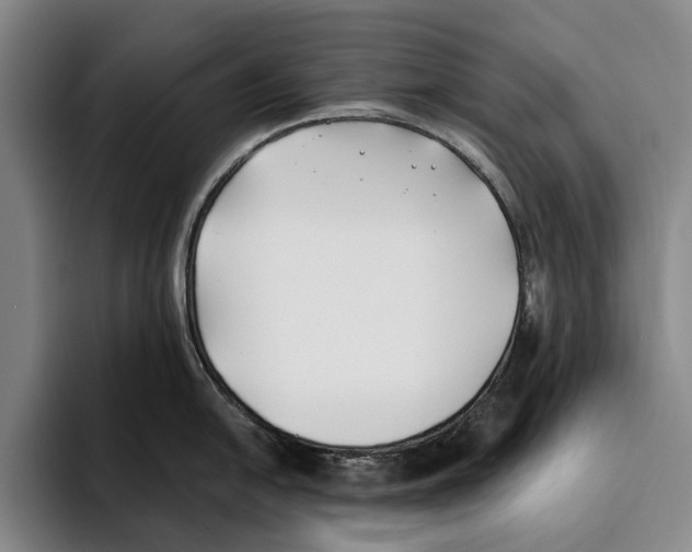 X0000096141054200802151330