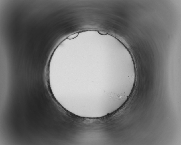 X0000096141056200802151330