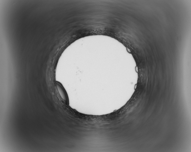 X0000096141057200802151330