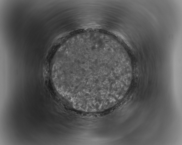 X0000096141063200802151330