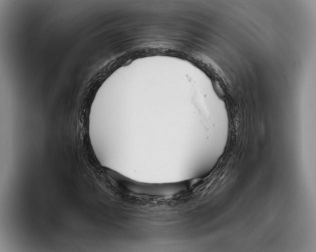 X0000096141064200802151329