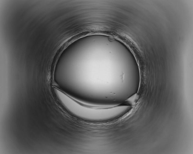 X0000096141065200802151329