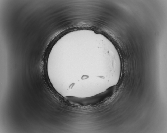 X0000096141066200802151329