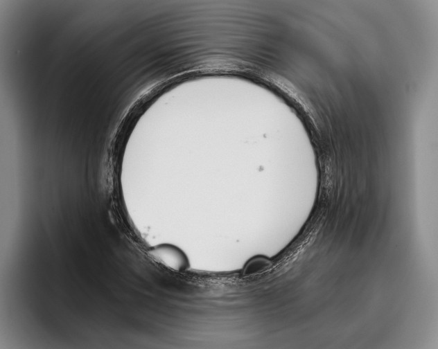 X0000096141067200802151329