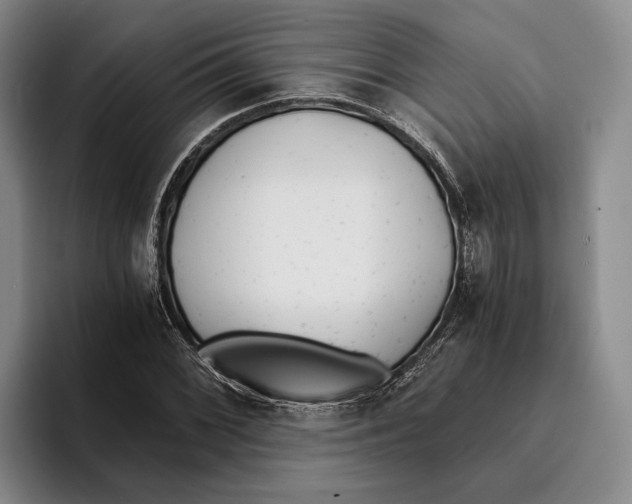 X0000096141068200802151329