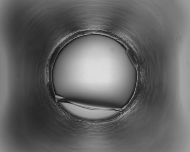 X0000096141069200802151329