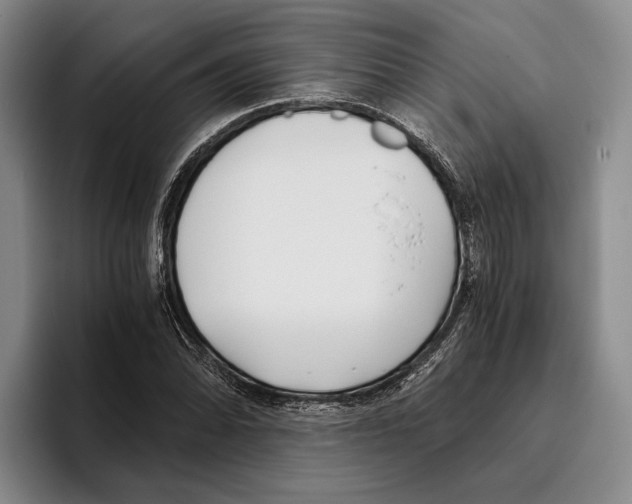 X0000096141070200802151329