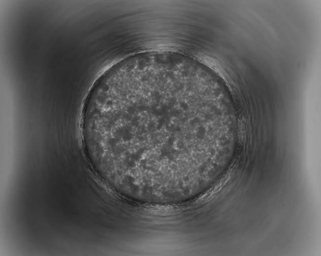 X0000096141071200802151329