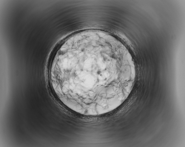 X0000096141072200802151329