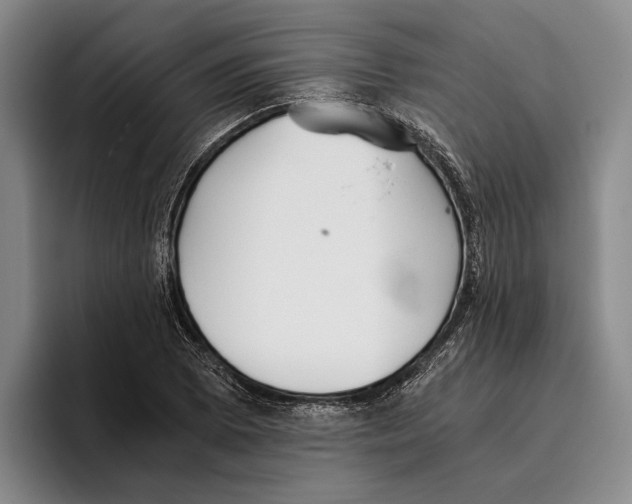 X0000096141073200802151329