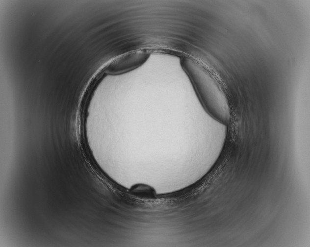 X0000096141076200802151329