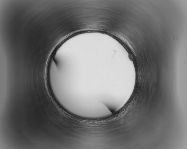 X0000096141077200802151329