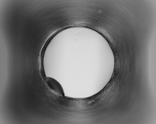 X0000096141079200802151329