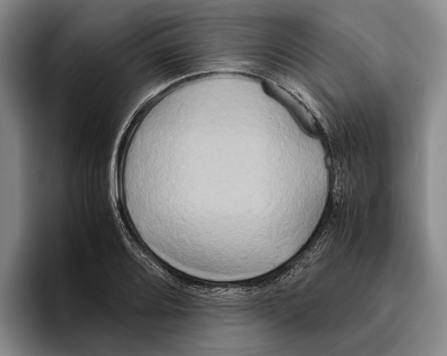 X0000096141080200802151329