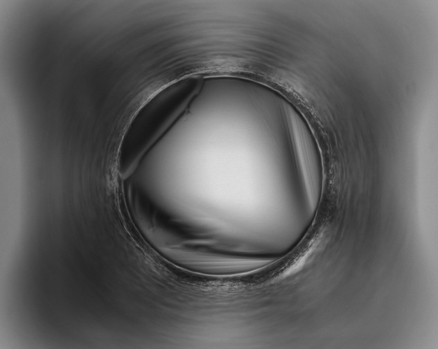 X0000096141081200802151329